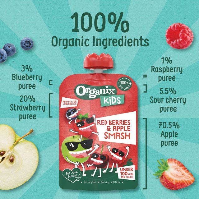 Organix KIDS Red Berries &amp;amp; Apple Smash Pouch    100g