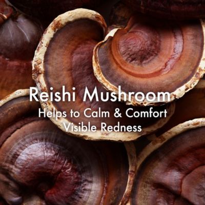 Origins Dr. Weil Mega-Mushroom Micellar Face Cleanser 200ml