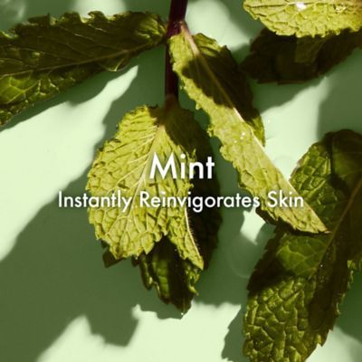 Origins Zero Oil Pore Purifying Face Toner 150ml