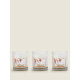 Pacific Wax Co Fresh Cotton Small Jar Candles Bundle