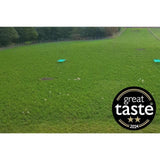 Packington Free Range White Eggs   6 per pack