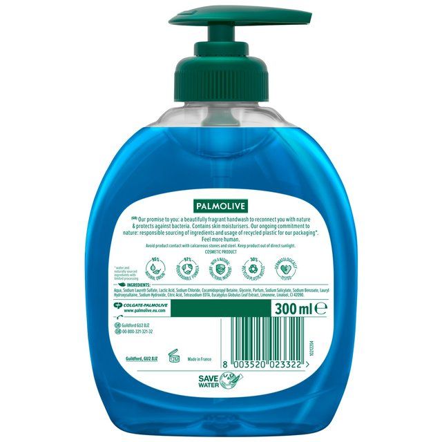 Palmolive Hygiene Plus Fresh Eucalyptus Hand Wash   300ml