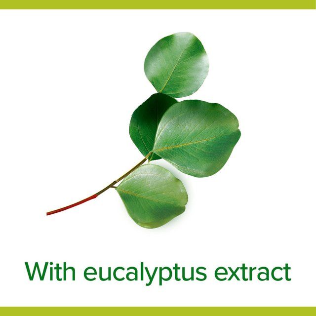 Palmolive Hygiene Plus Fresh Eucalyptus Hand Wash   300ml