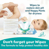 Pampers Baby-Dry Nappy Pants Size 4 (9-15kg) Essential Pack    38 per pack