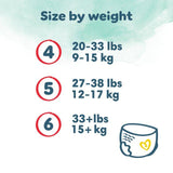 Pampers Harmonie Nappies Pants Size 6 Essential Pack   19 per pack