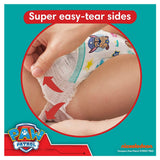 Pampers Paw Patrol Baby Dry Nappy Pants Size 5, 160 Pack