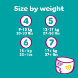 Pampers Premium Protection Nappy Pants Size 5 (12-17kg) Essential Pack   27 per pack