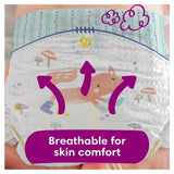 Pampers Premium Protection Size 6 28 Nappies Essential Pack   28 per pack