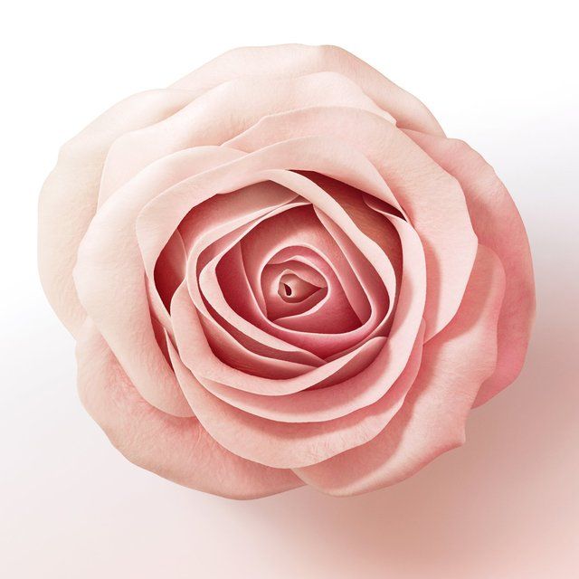 Pantene Lift &amp;amp; Volume Shampoo Biotin &amp;amp; Rose Water     400ml