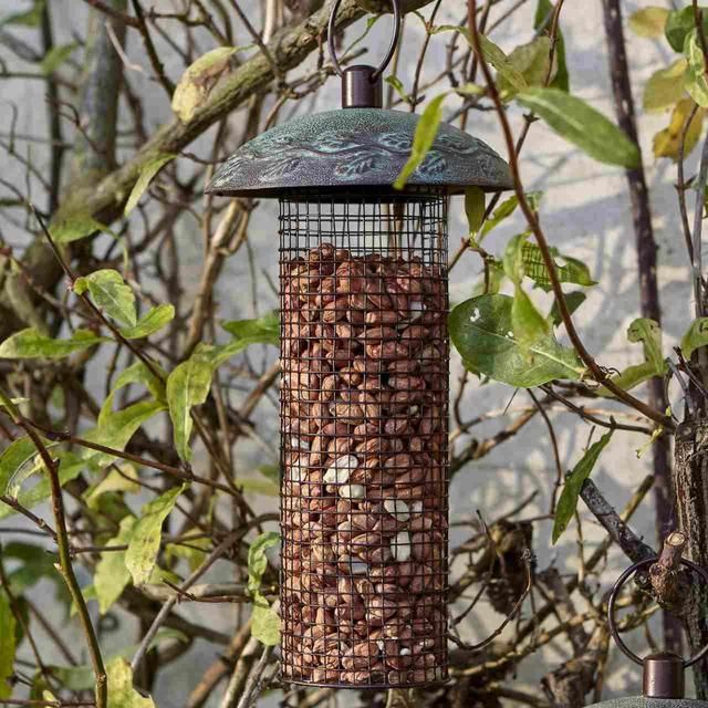 Peckish Peanuts For Wild Birds   1kg