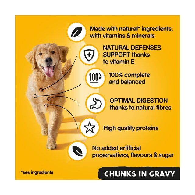 Pedigree Adult Wet Dog Food Tins Mixed in Gravy    6 x 400g