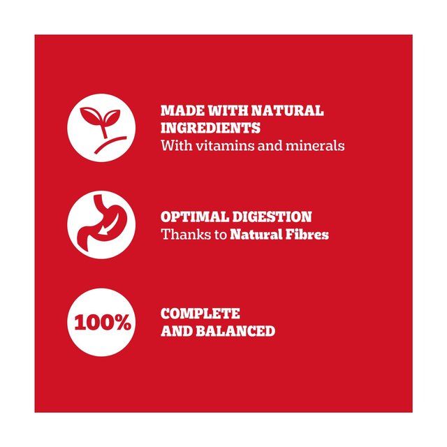 Pedigree Adult Wet Dog Food Tins Mixed in Jelly    6 x 385g