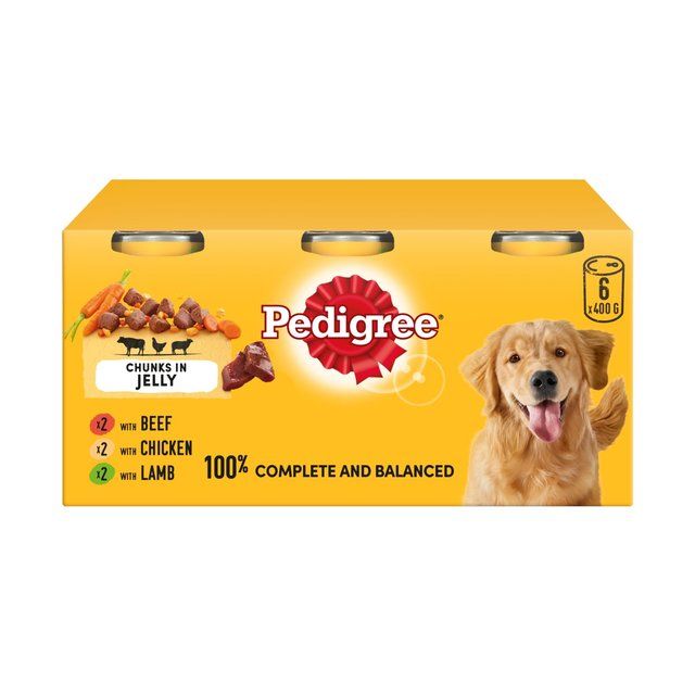 Pedigree Adult Wet Dog Food Tins Mixed in Jelly    6 x 400g