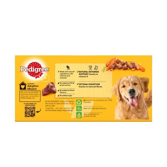 Pedigree Adult Wet Dog Food Tins Mixed in Jelly    6 x 400g