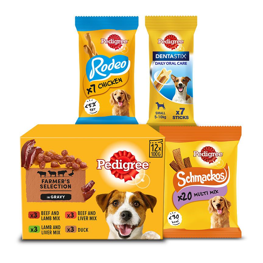 Pedigree Dog Food Pouches &amp;amp; Treats Bundle