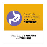 Pedigree Treat Dog Multivitamins Adult Digestion    180g