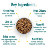 Percuro Insect Protein Adult Medium &amp;amp; Large Breeds Dry Dog Food   2kg