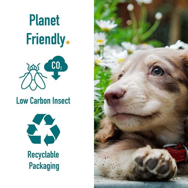 Percuro Insect Protein Puppy Small &amp;amp; Medium Breeds Dry Dog Food   2kg