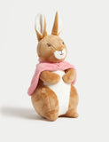Peter Rabbit&amp;trade; Flopsy&amp;trade; Soft Toy