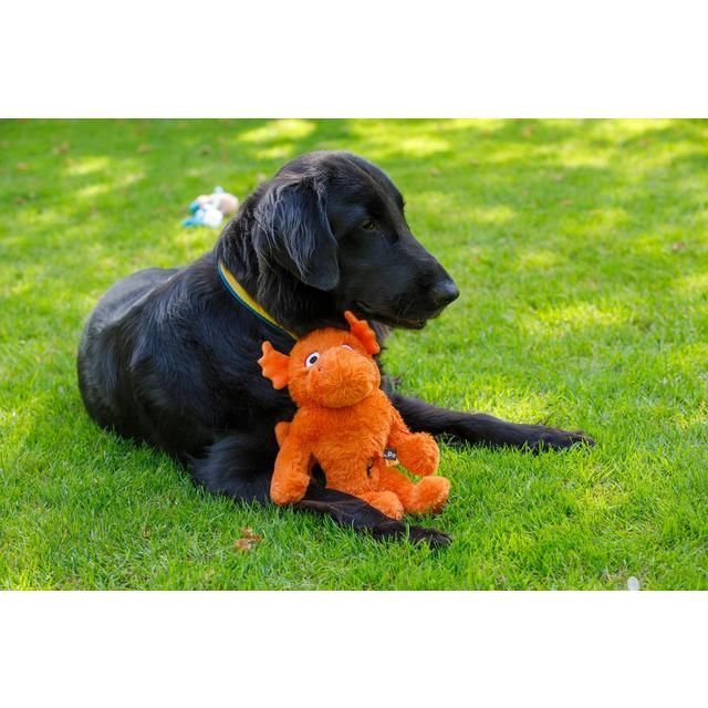 Petface Mighty Dragon Dog Toy