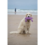 Petface Planet Ocean Cycle Callum Crab Plush Dog Toy