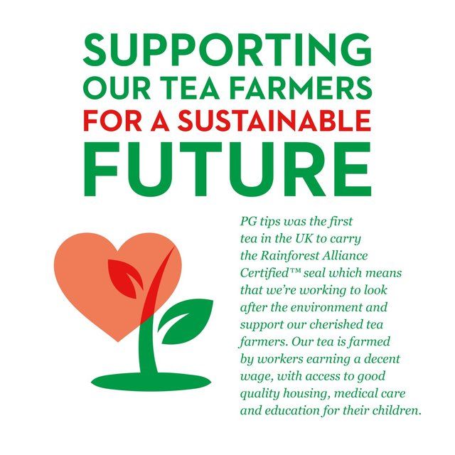PG Tips Original Biodegradable Tea Bags   160 per pack