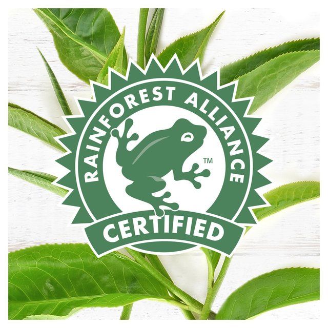 PG Tips Original Biodegradable Tea Bags   240 per pack