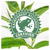 PG Tips Original Biodegradable Tea Bags   240 per pack