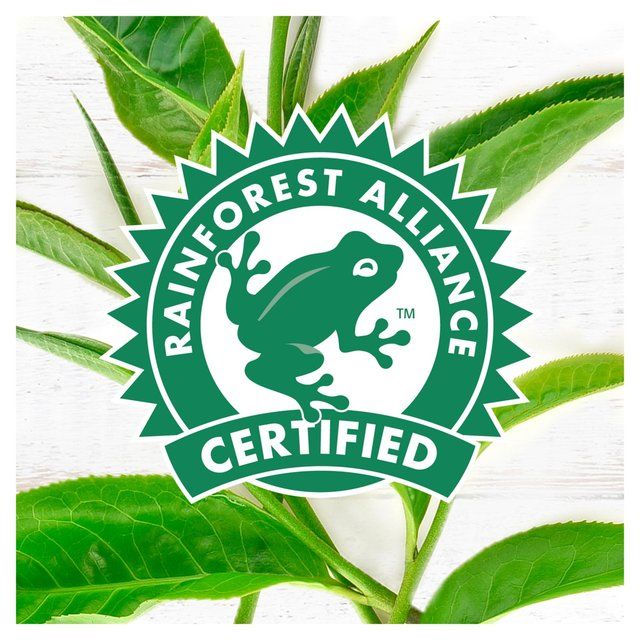 PG Tips The Tasty Decaf Tea Bags   70 per pack