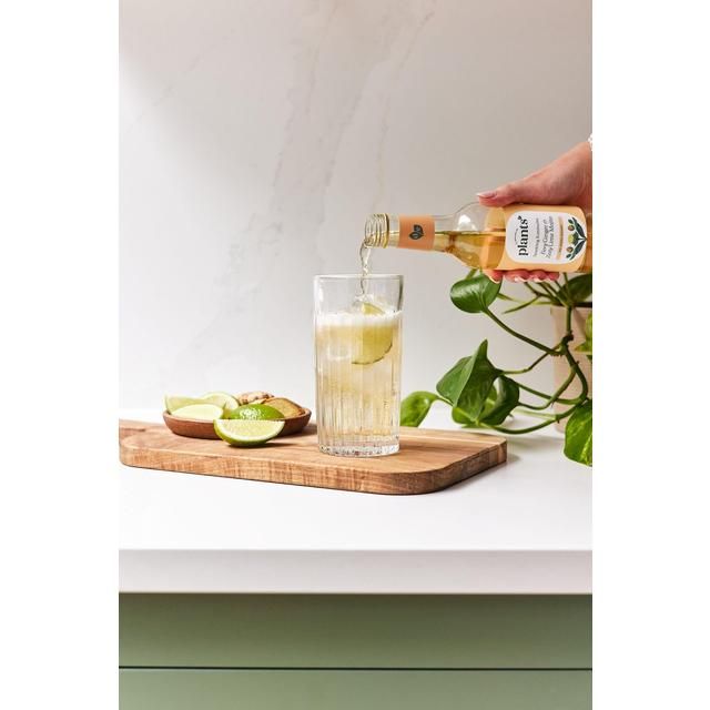 Plants by Deliciously Ella Ginger and Mint Mojito Kombucha   250ml