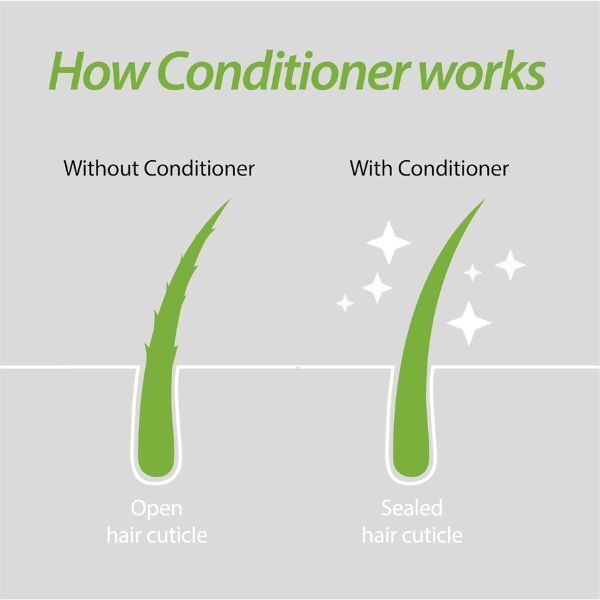 Plantur39 Conditioner Col&amp;amp;Stress Hair150ml