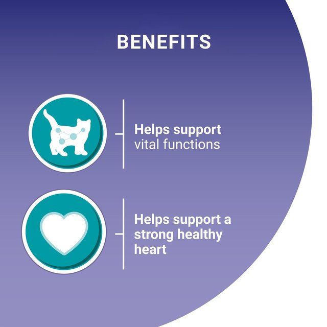 Purina One Senior 7+ Mini Fillets Salmon &amp;amp; Ocean Fish Wet Cat Food    8 x 85g