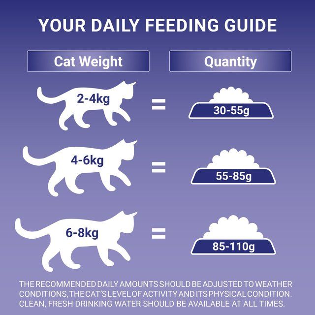 Purina ONE Sensitive Dry Cat Food Turkey and Rice   2.8kg