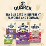 Quaker Oat So Simple Sultanas &amp;amp; Raisins Fruit Porridge Sachets Cereal   10 per pack