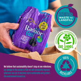 Radnor Fizz Forest Fruits   4 x 330ml