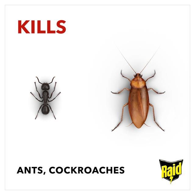 Raid Ant &amp;amp; Cockroach Killer   300ml