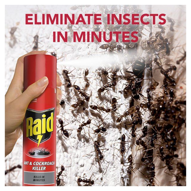 Raid Ant &amp;amp; Cockroach Killer   300ml