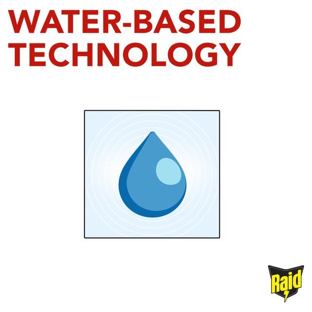 Raid Fly Wasp &amp;amp; Mosquito Killer with Eucalyptus Aroma Oil   300ml