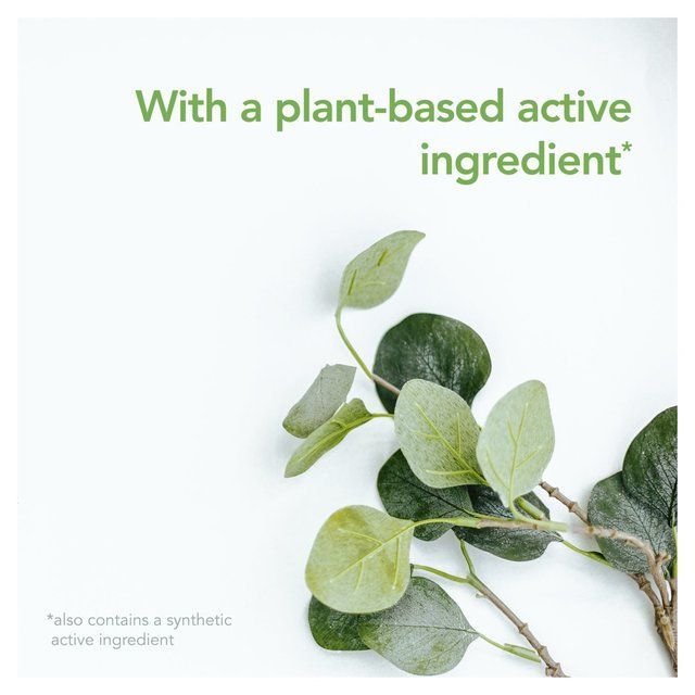 Raid Plant Based Crawling Insect Killer Aerosol Spray   300ml