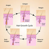 RESEED Sabal and Neem Fortifying Shampoo for Men 250 ml