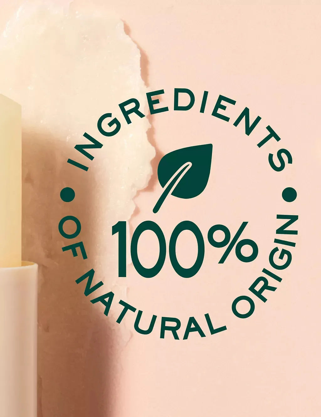 Reve de Miel Lip Moisturising Stick with Honey &amp;amp; Sunflower 4g