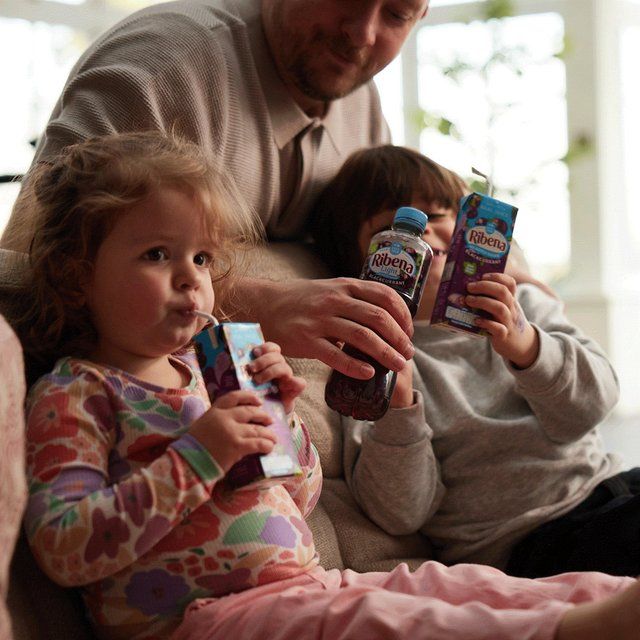 Ribena Blackcurrant Juice Cartons   6 x 250ml