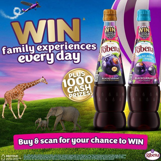 Ribena Blackcurrant Squash   1.5L