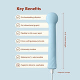 Roam Vibrator - The Wand