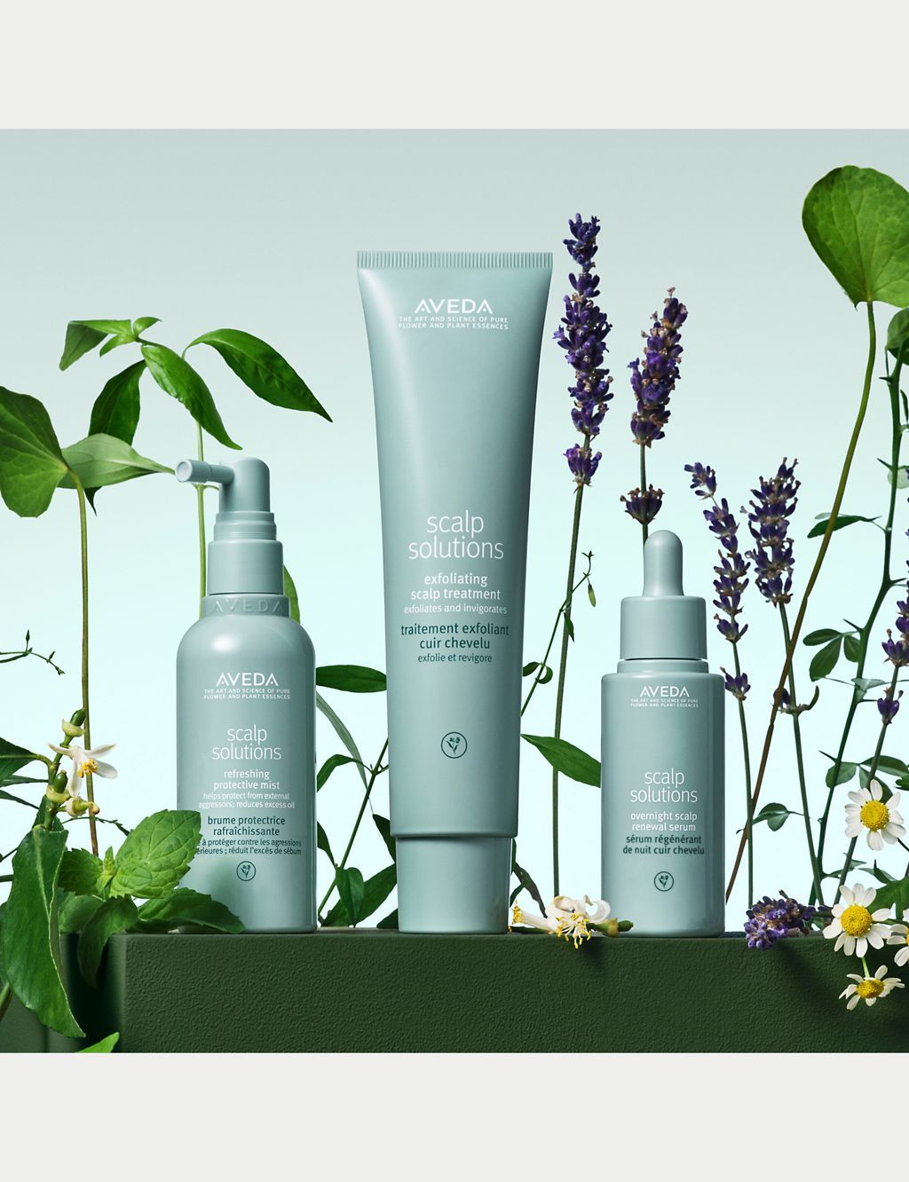 Scalp Solutions Overnight Scalp Renewal Serum (with hyaluronic acid)  50ml