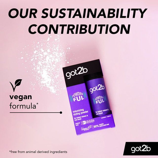 Schwarzkopf got2b Powder'ful Volumizing Powder   10g