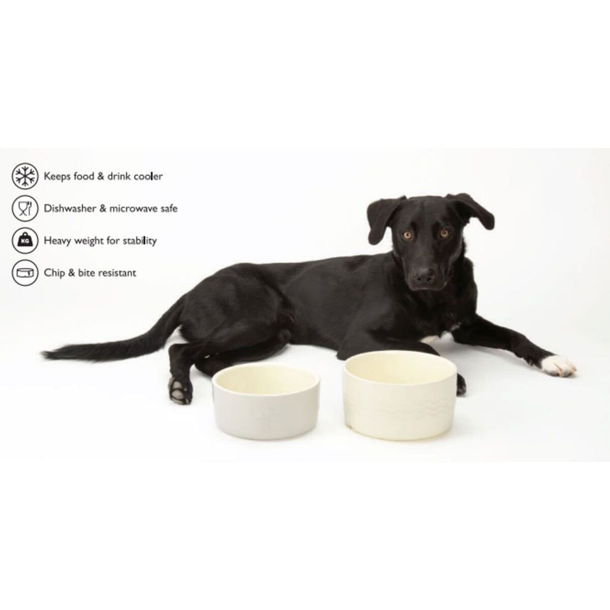 Scruffs Dog Food &amp;amp; Water Bowl Set