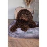 Scruffs&amp;reg; Kensington Pet Bed Medium, 60cm x 50cm in 3 Colours