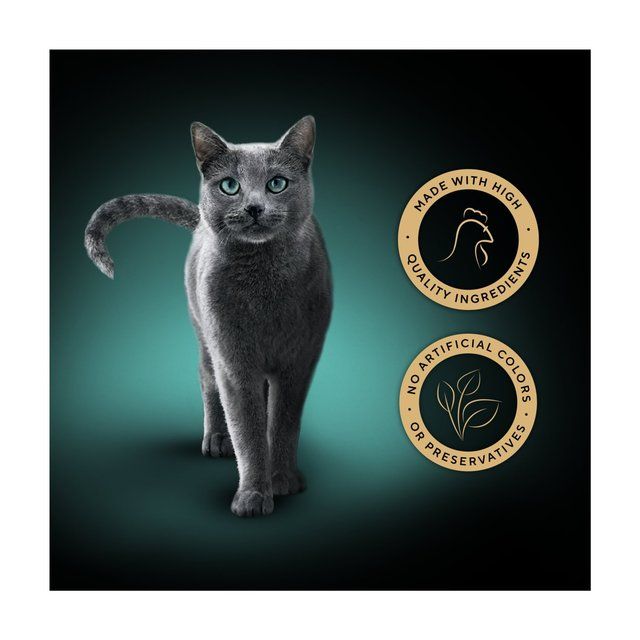 Sheba Fillets Cat Food Tray with Chicken in Gravy   60g