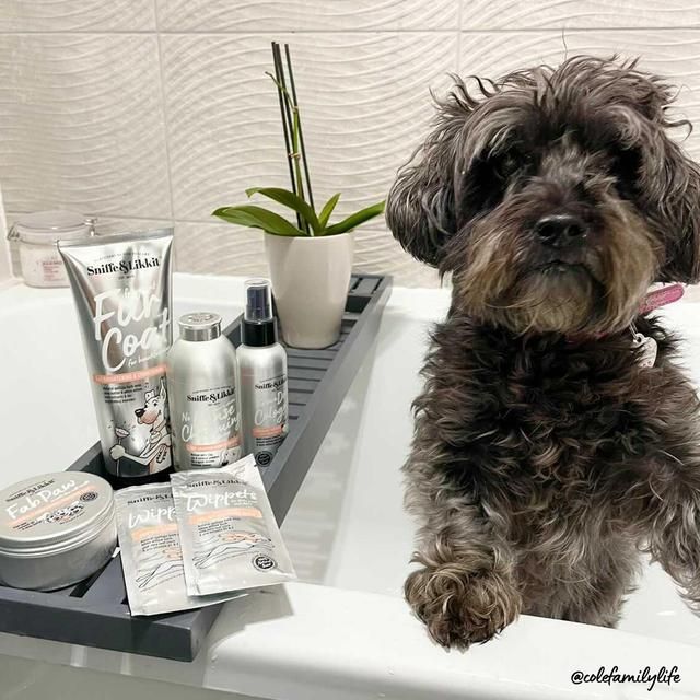 Sniffe &amp;amp; Likkit Give A Dog Cologne Fragrant Fur Coat Conditioning Mist   125ml